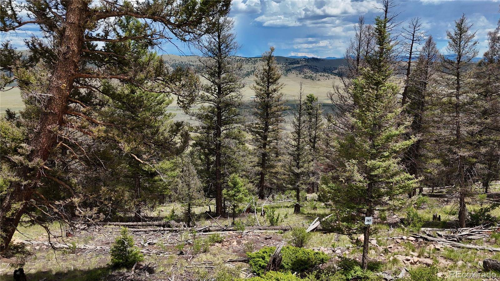1396 Middle Fork VIS, Fairplay, CO 80440