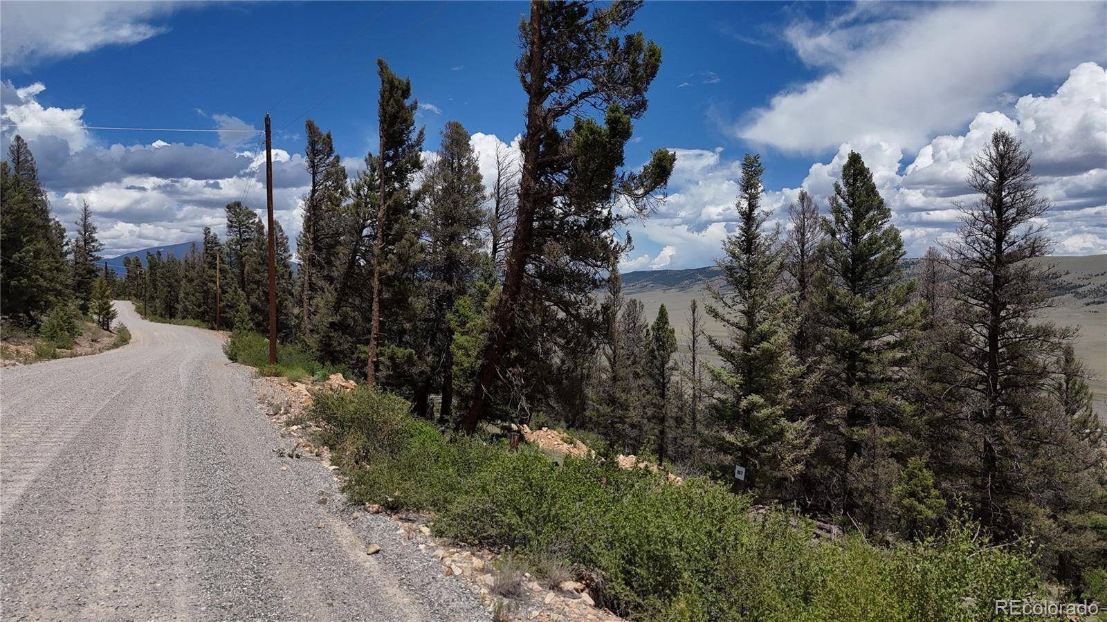 1396 Middle Fork VIS, Fairplay, CO 80440