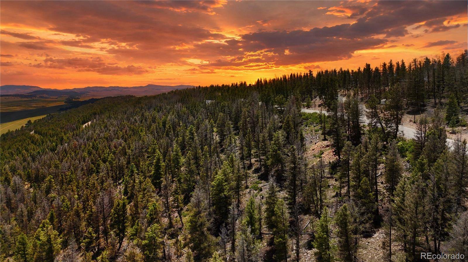 1396 Middle Fork VIS, Fairplay, CO 80440