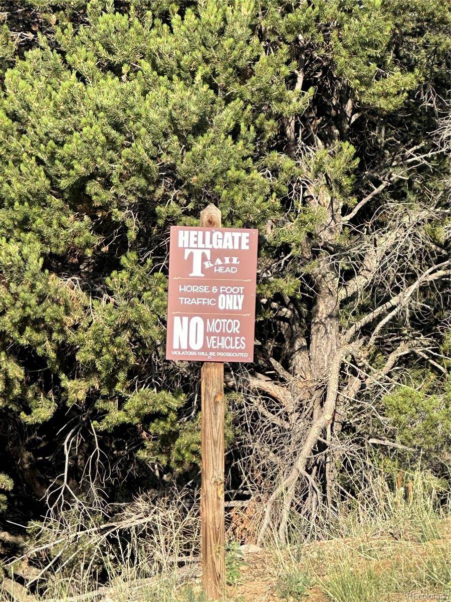 Ponderosa TRL, Canon City, CO 81212