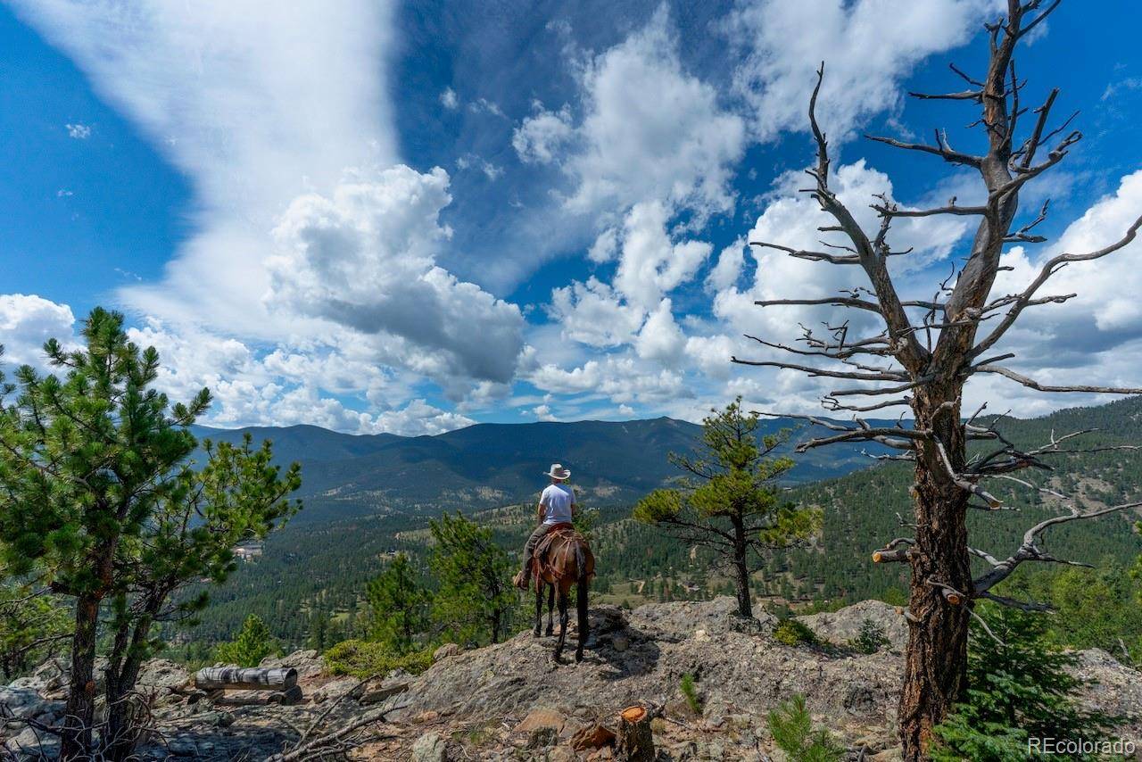 150 Summit DR, Bailey, CO 80421
