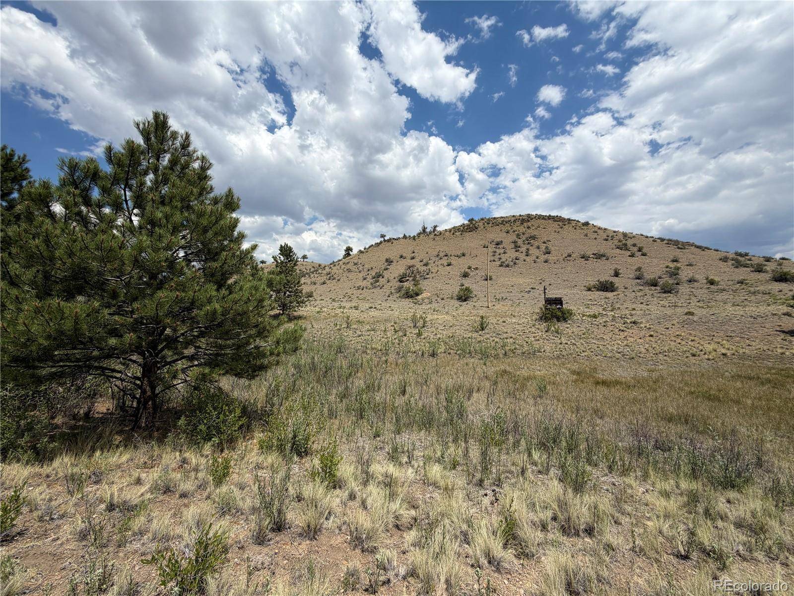 0 Trout ST, Hartsel, CO 80449