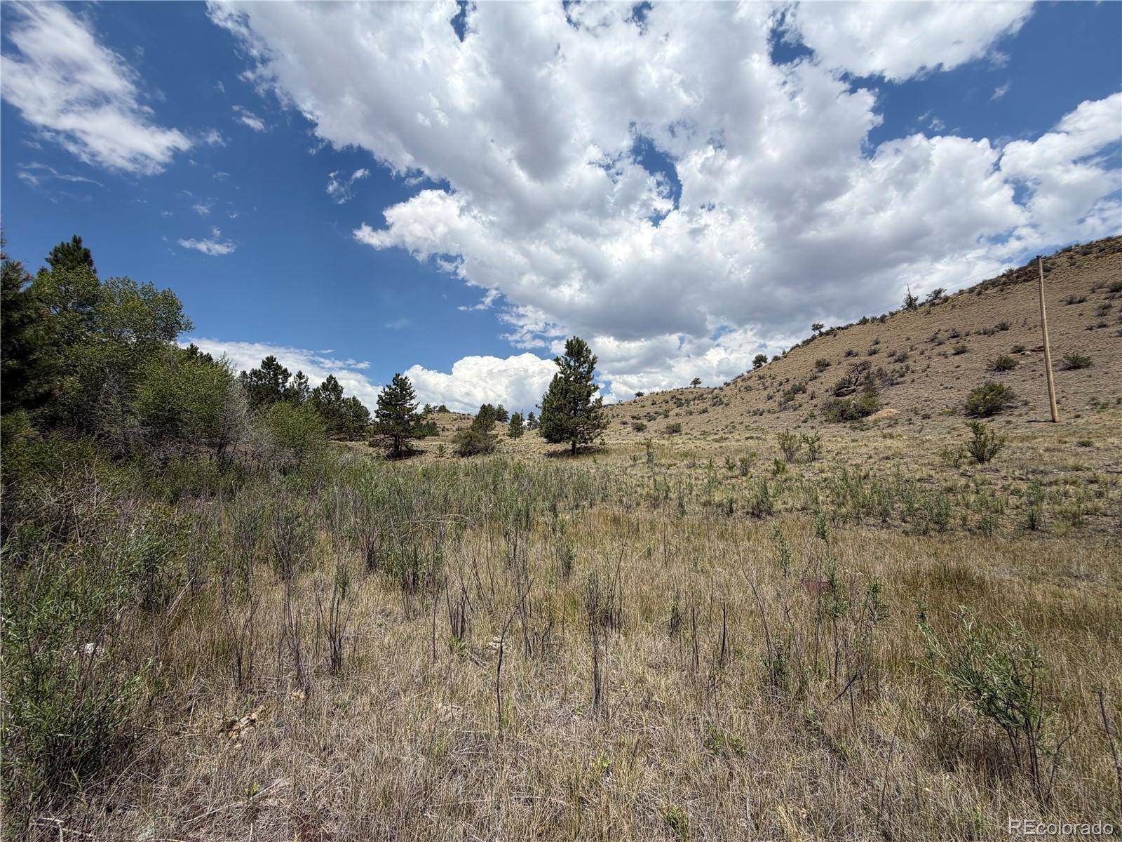 0 Trout ST, Hartsel, CO 80449