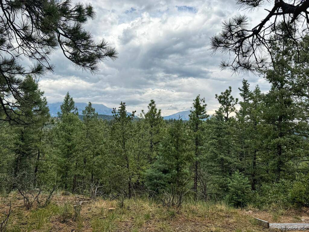 11491 Chinook DR, Weston, CO 81091