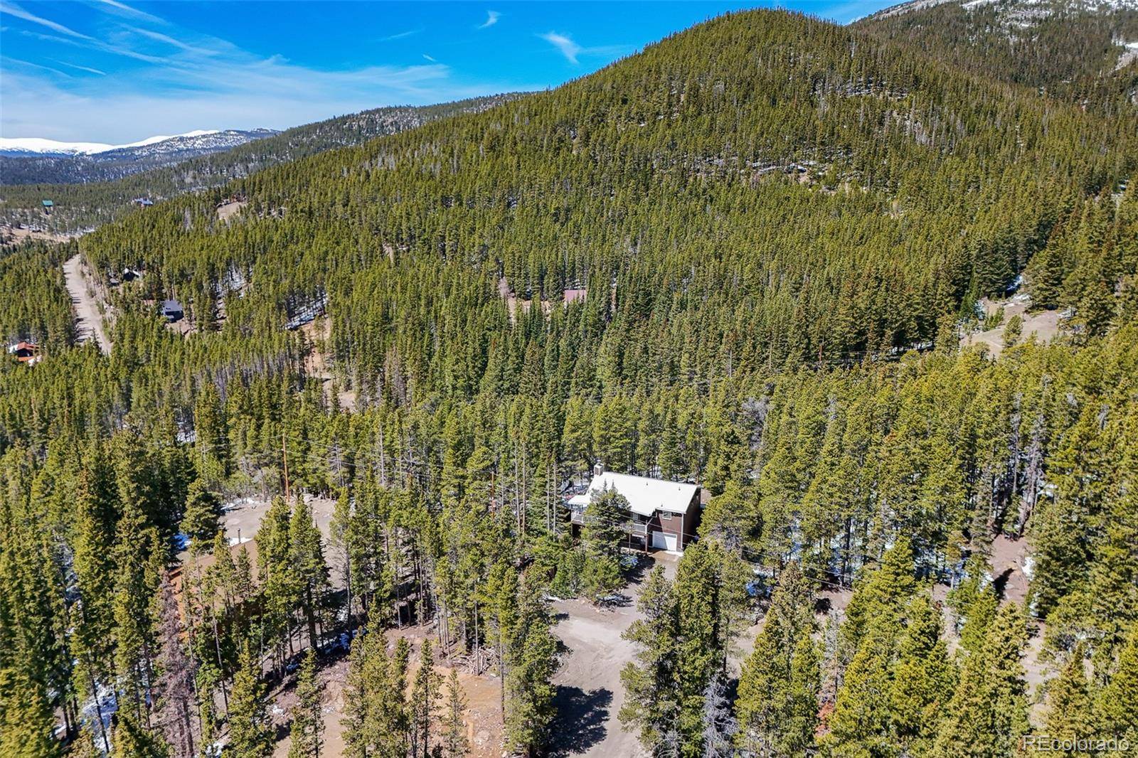 218 Brook DR, Idaho Springs, CO 80452