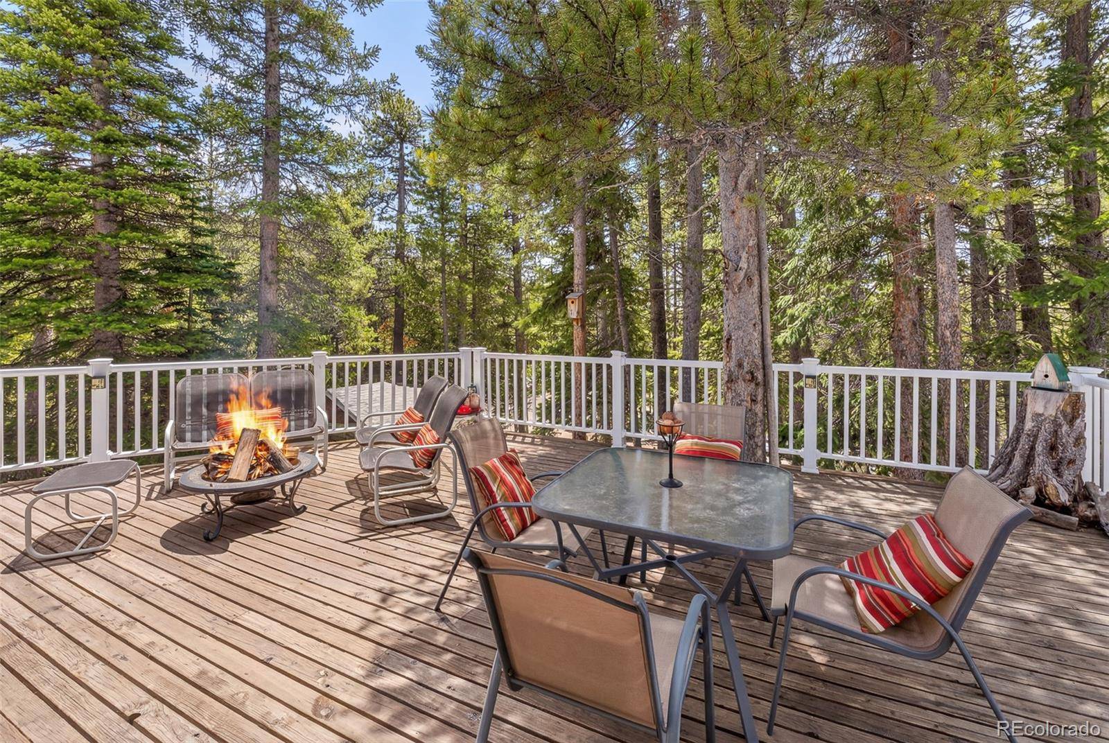 218 Brook DR, Idaho Springs, CO 80452