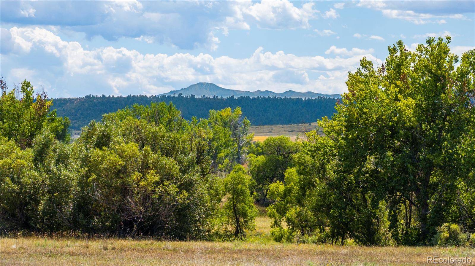 4959 Bayou Gulch ST, Parker, CO 80134