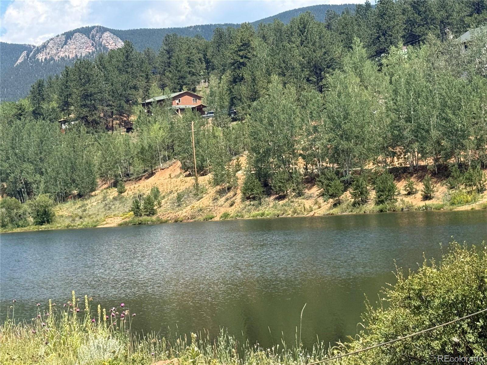63 Fitzsimmons RD, Bailey, CO 80421
