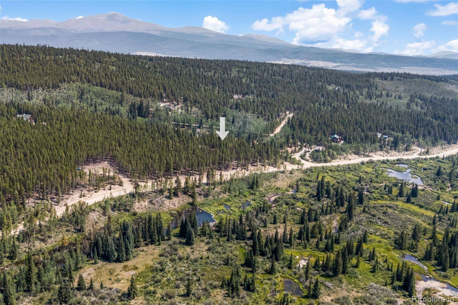 3075 Nugget RD, Fairplay, CO 80440