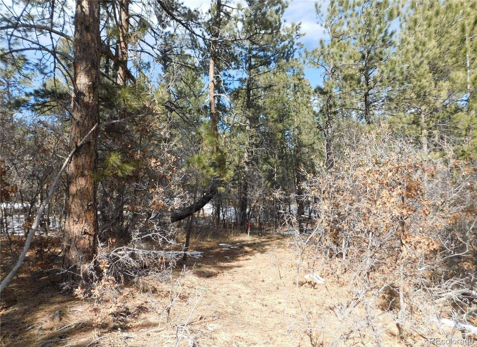 1025 Tenderfoot DR, Larkspur, CO 80118