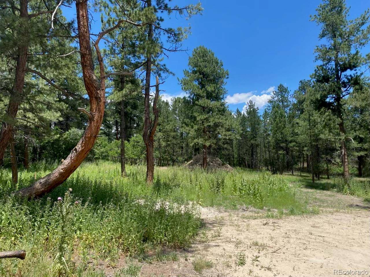 1025 Tenderfoot DR, Larkspur, CO 80118