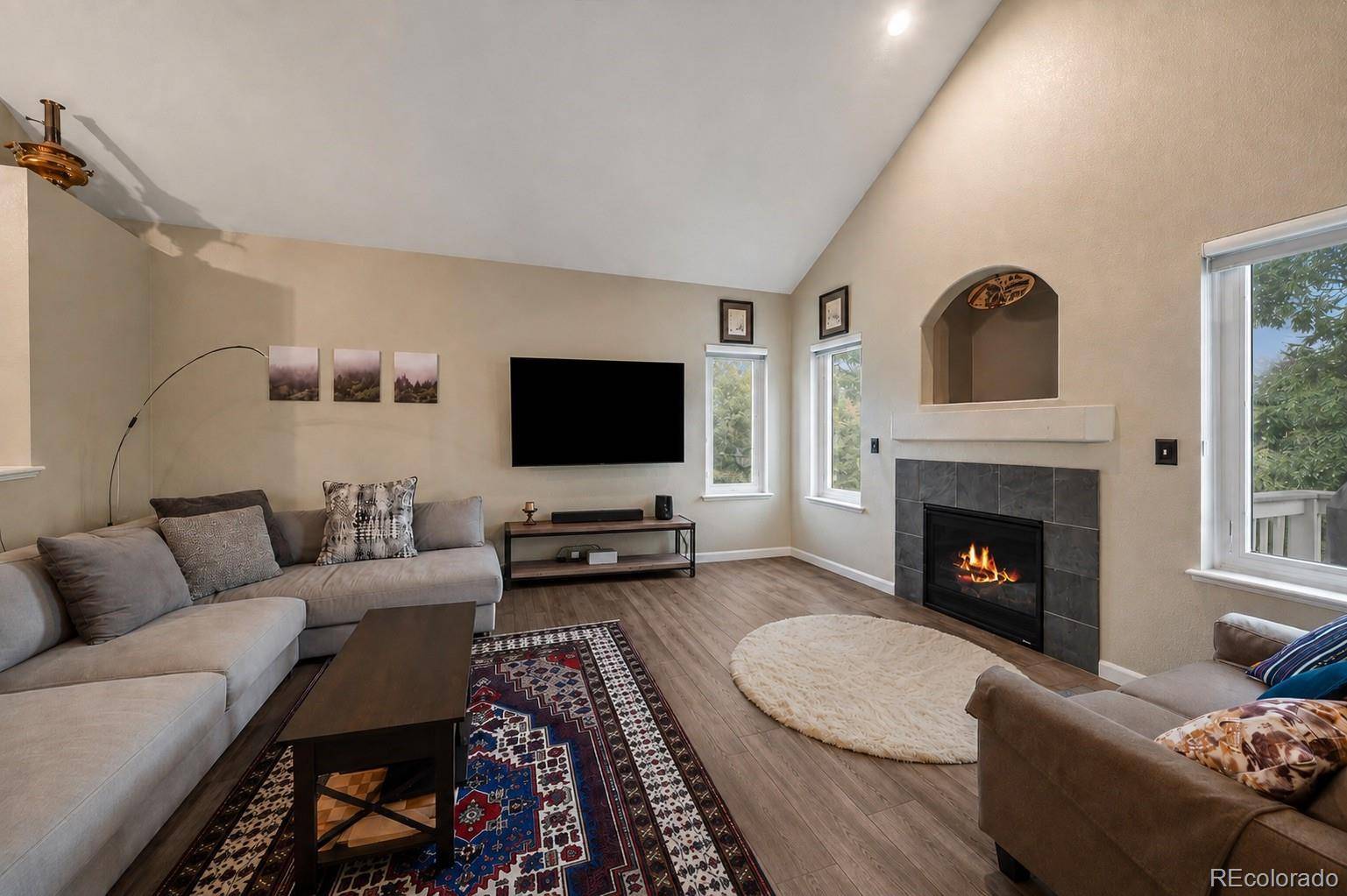 10654 Apishamore CT, Parker, CO 80134