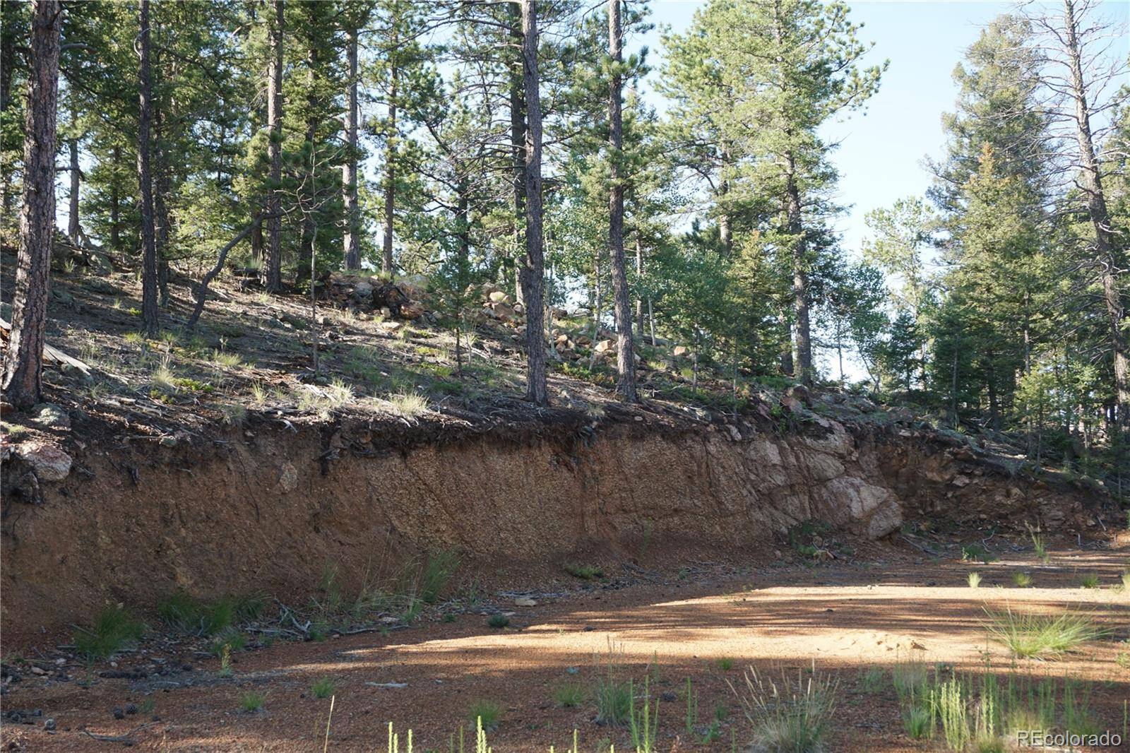 422 Spring Valley DR, Divide, CO 80814