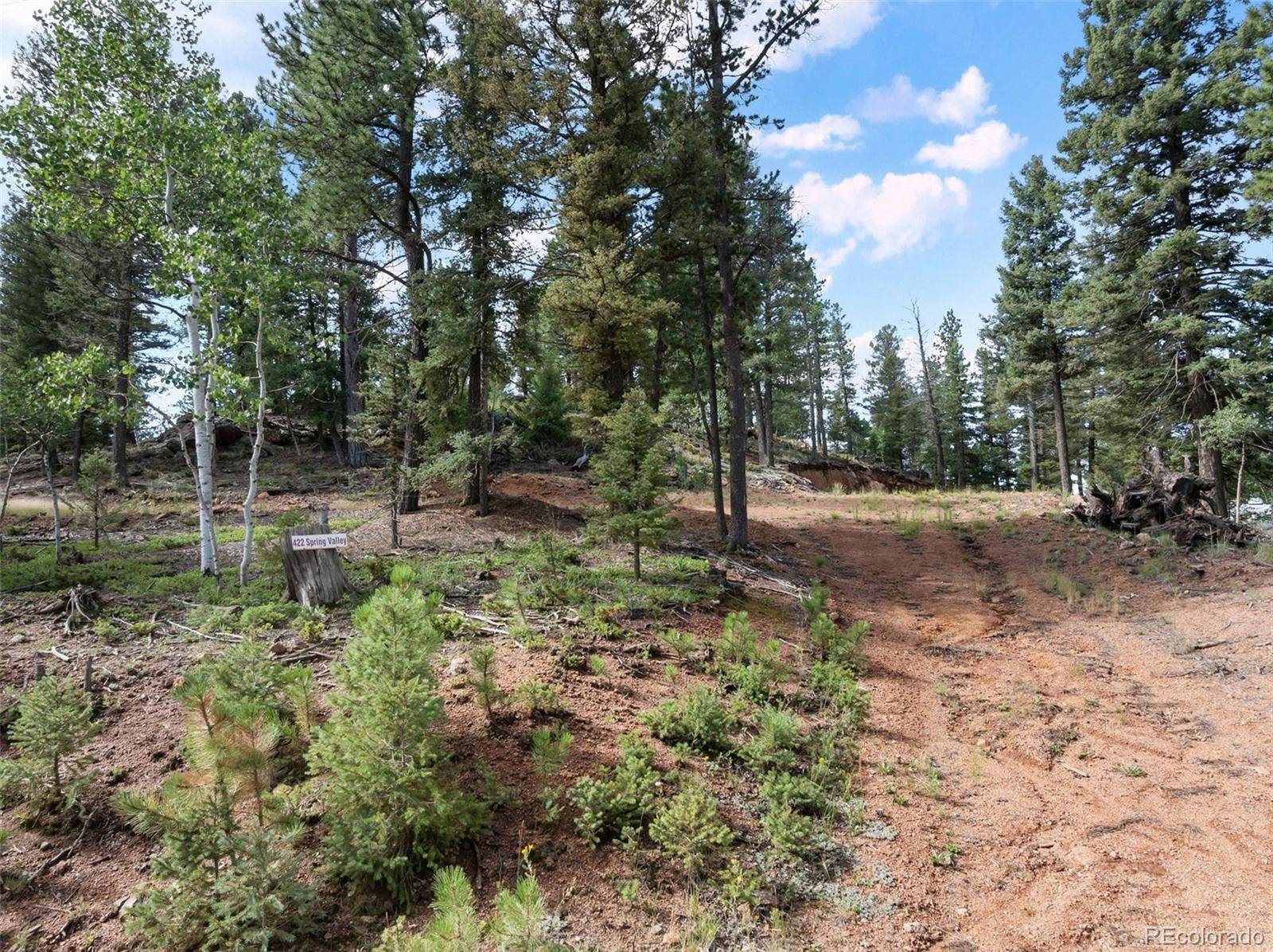 422 Spring Valley DR, Divide, CO 80814