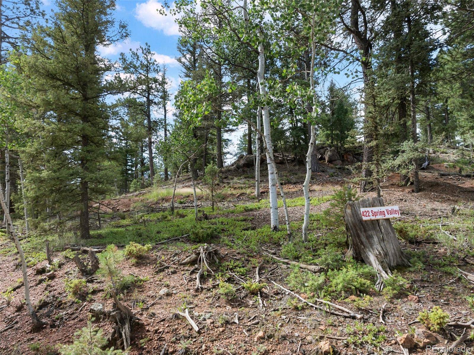 422 Spring Valley DR, Divide, CO 80814
