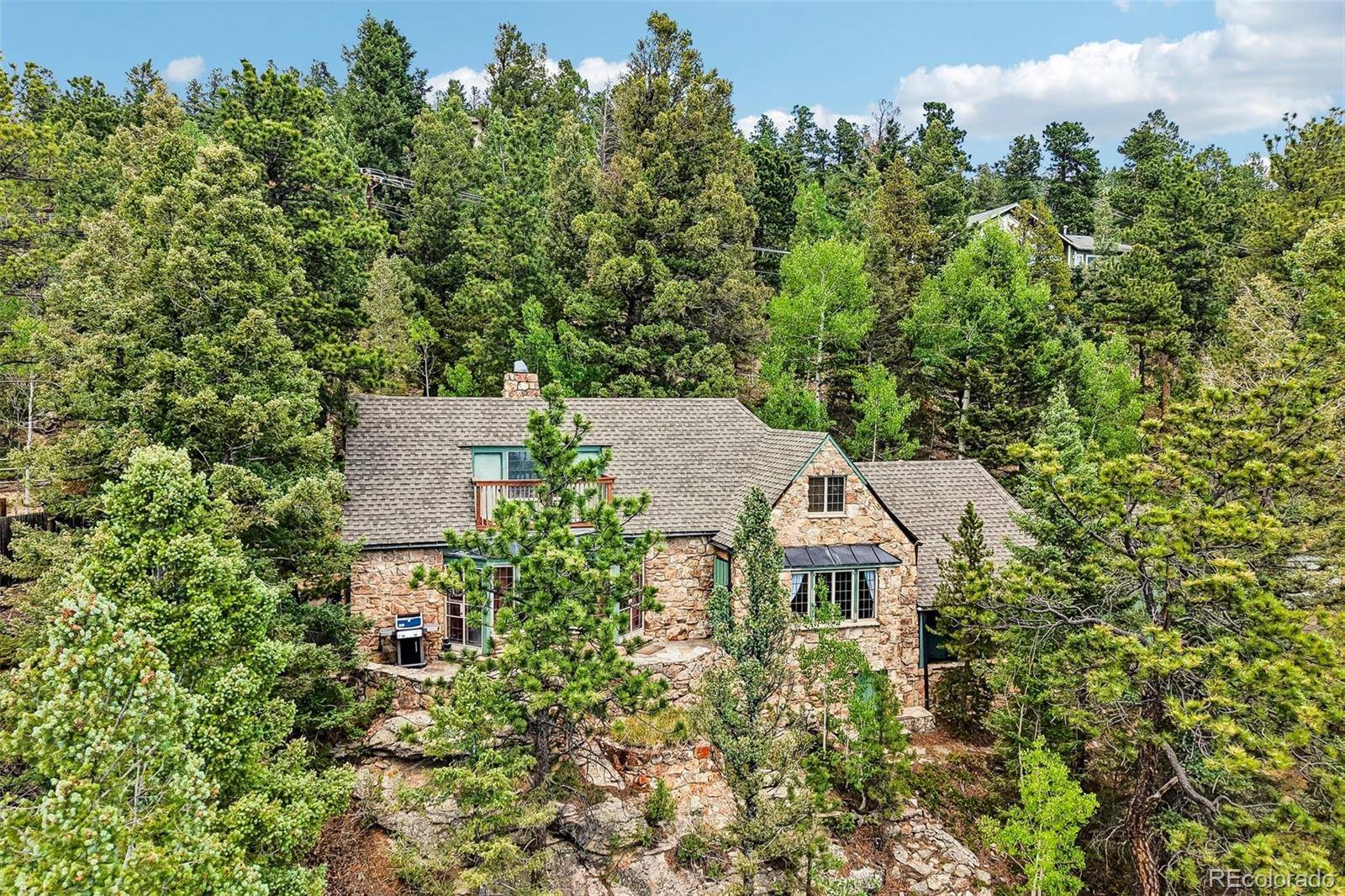11793 Braun WAY, Conifer, CO 80433