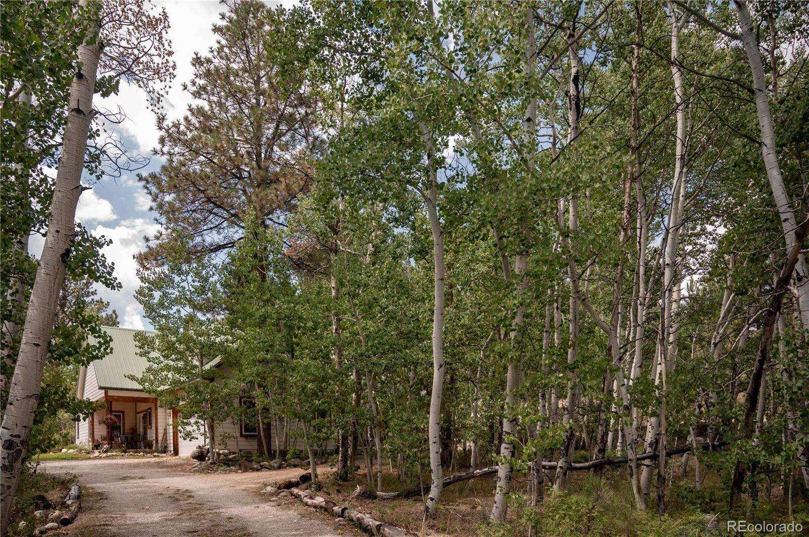 14820 Little Beaver LN, Nathrop, CO 81236