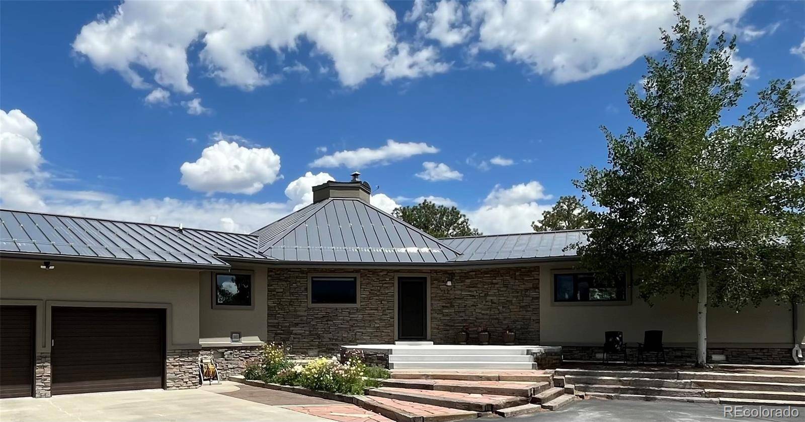 13030 County Road 261d, Nathrop, CO 81236