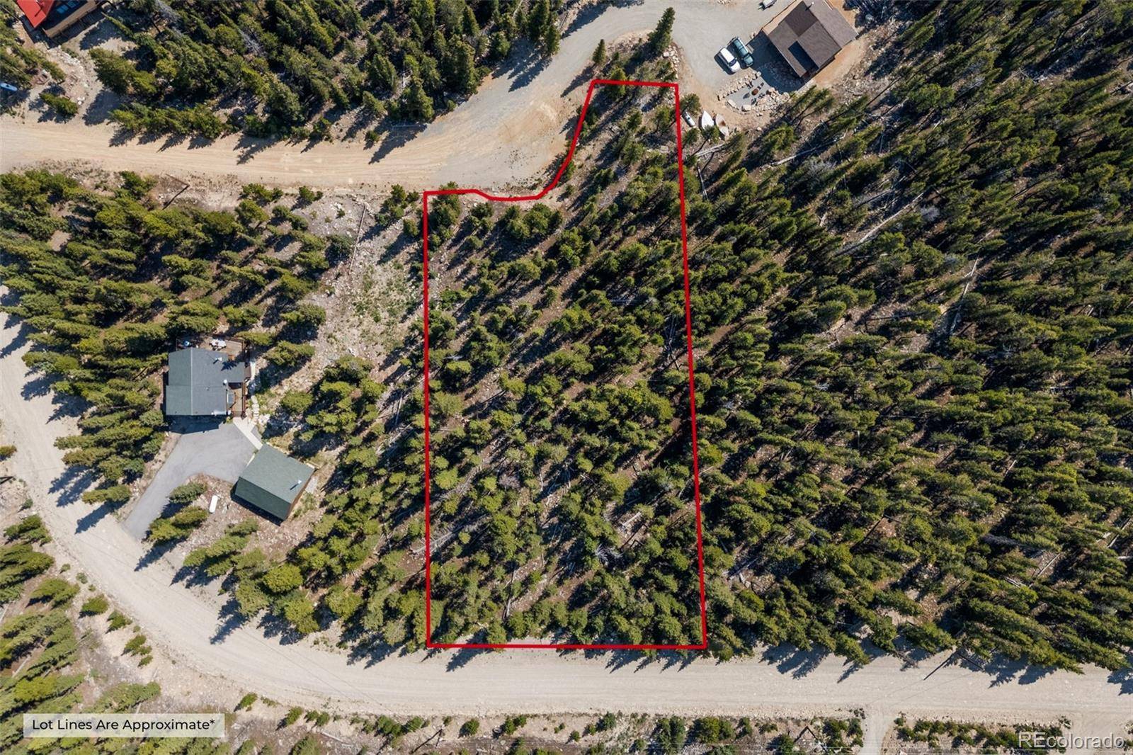 914 Bobcat LN, Fairplay, CO 80440