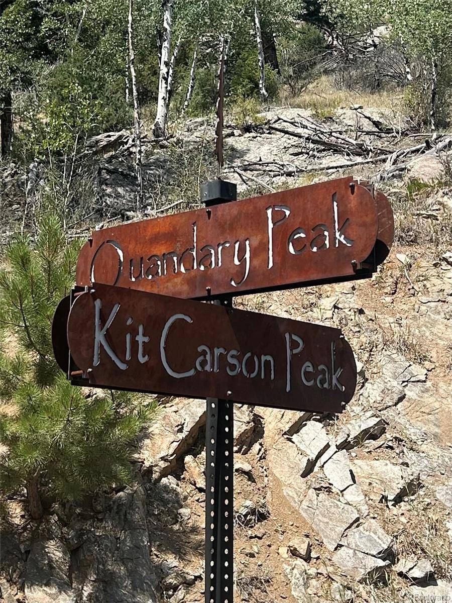 14850 Quandary Peak RD, Pine, CO 80470
