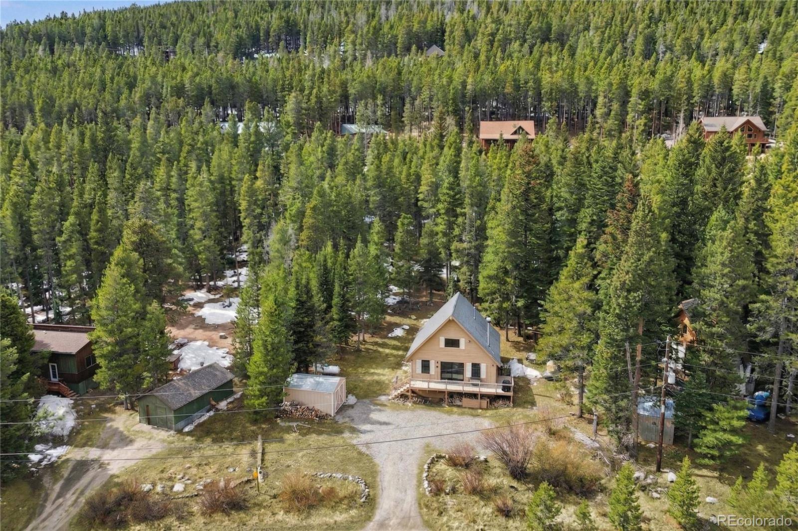 201 Silver Creek RD, Idaho Springs, CO 80452