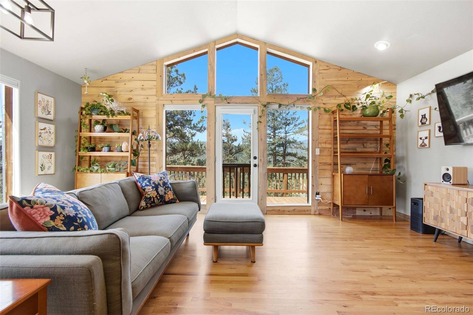 278 Hayes ST, Bailey, CO 80421