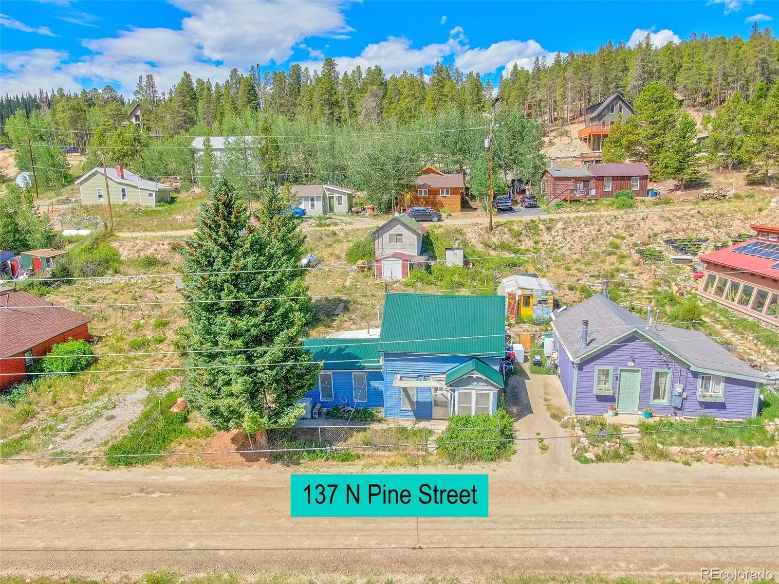 137 N Pine ST, Alma, CO 80420