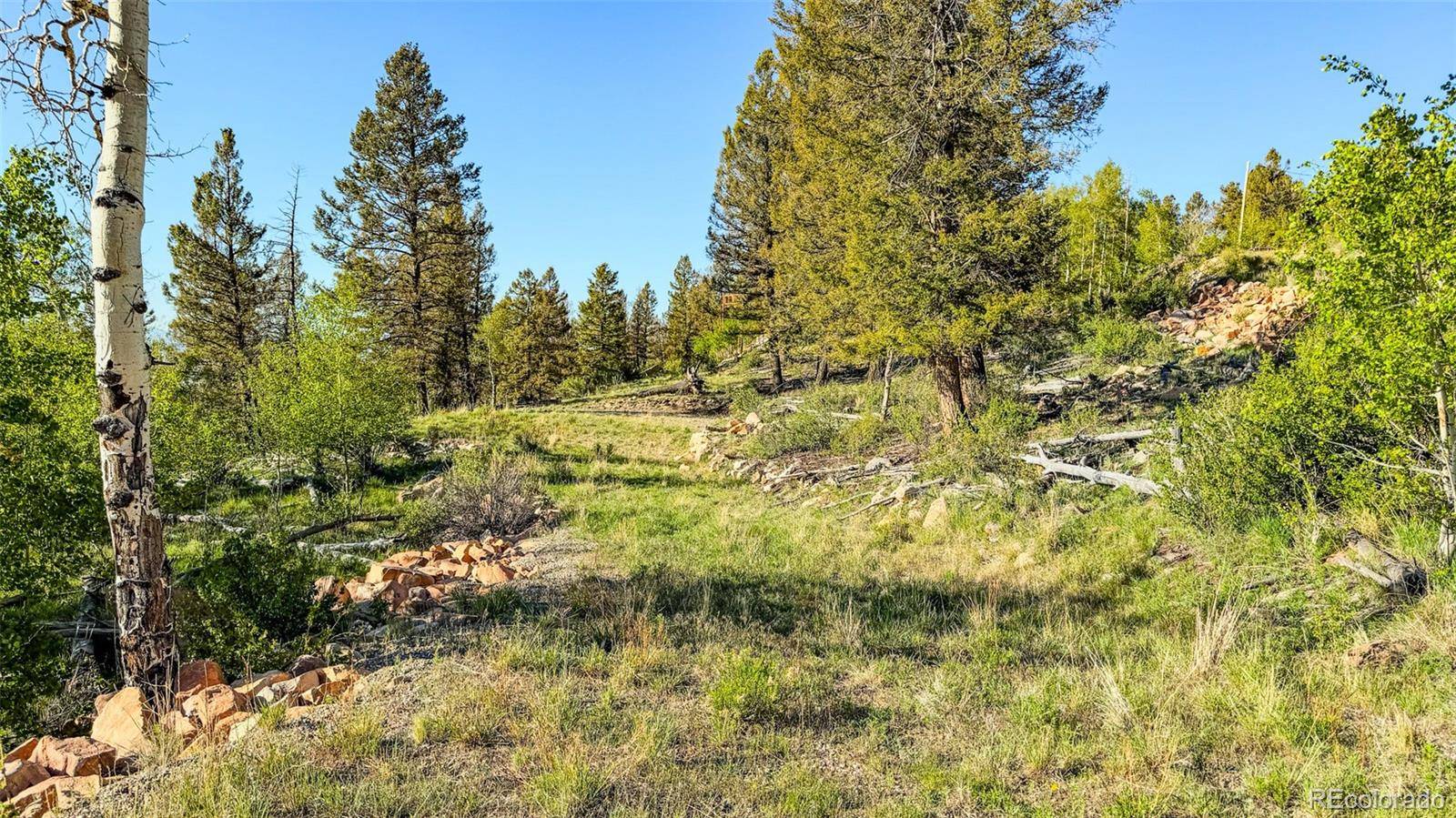 4924 Middle Fork VIS, Fairplay, CO 80440
