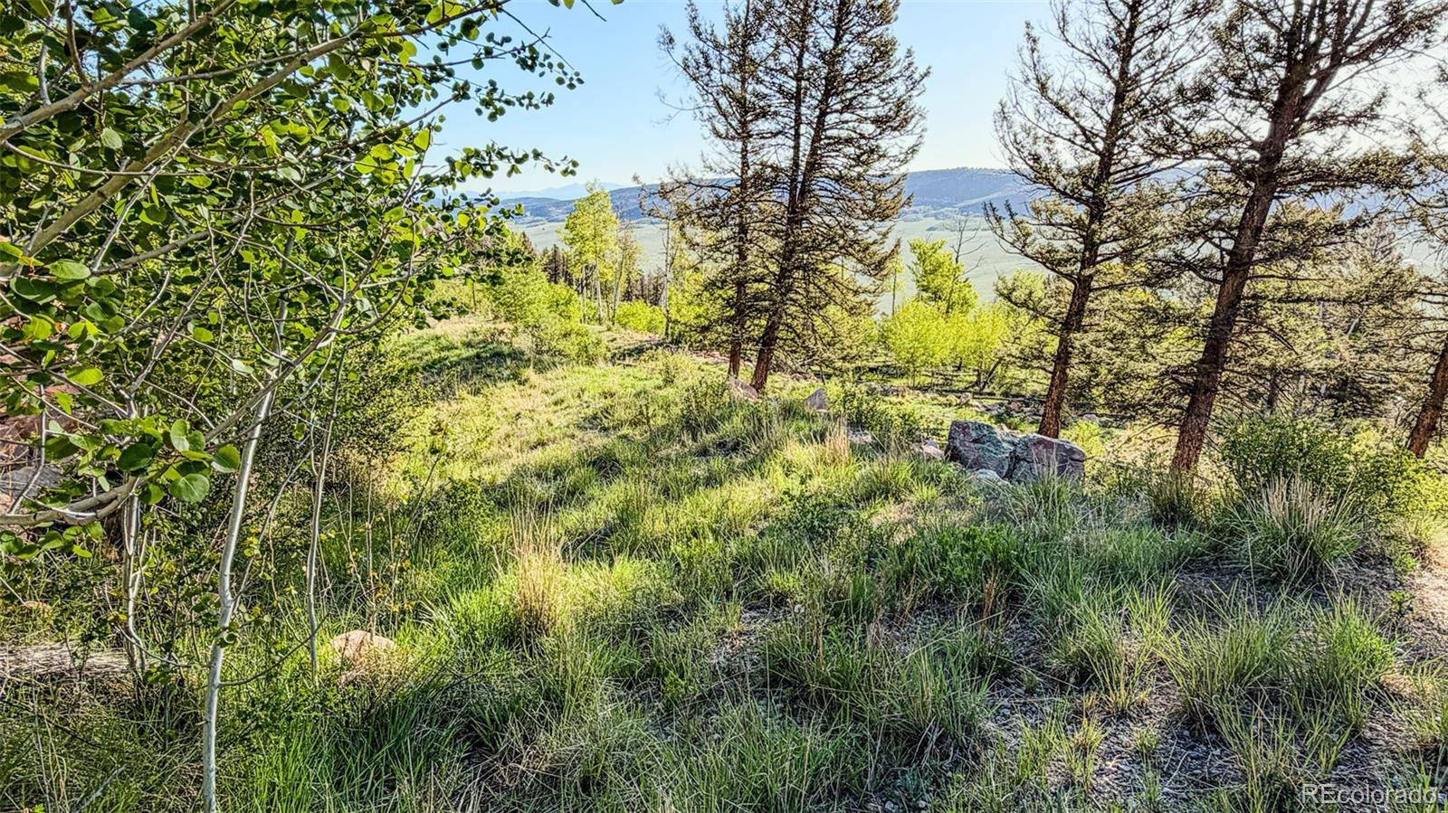 4924 Middle Fork VIS, Fairplay, CO 80440