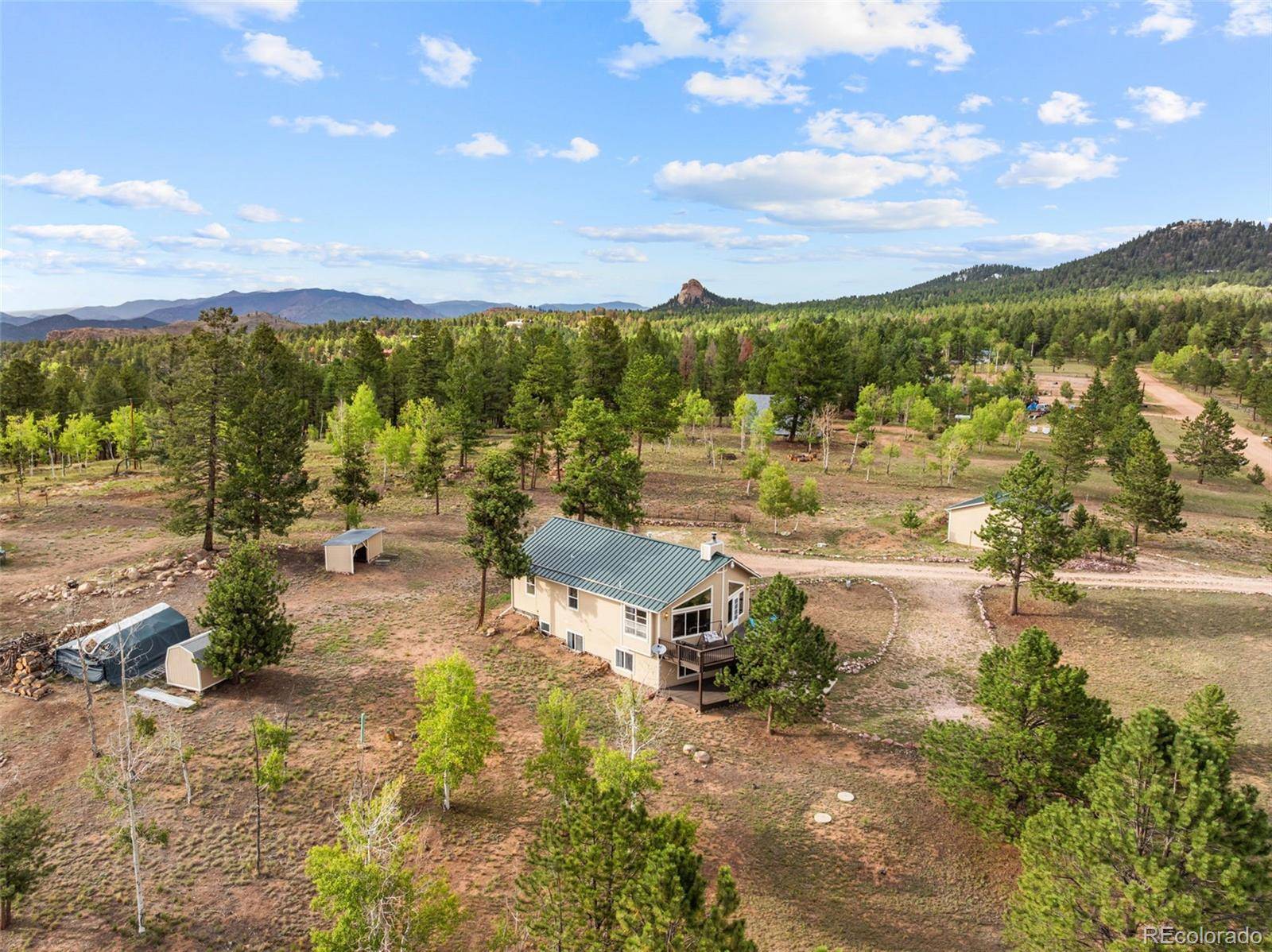 55 Crystal Peak DR, Lake George, CO 80827