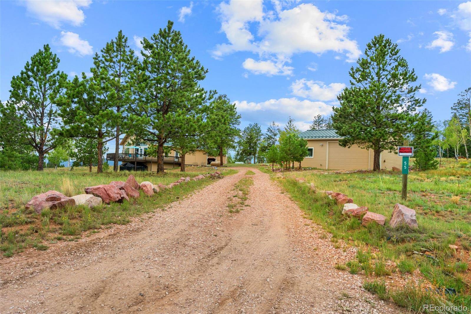 55 Crystal Peak DR, Lake George, CO 80827