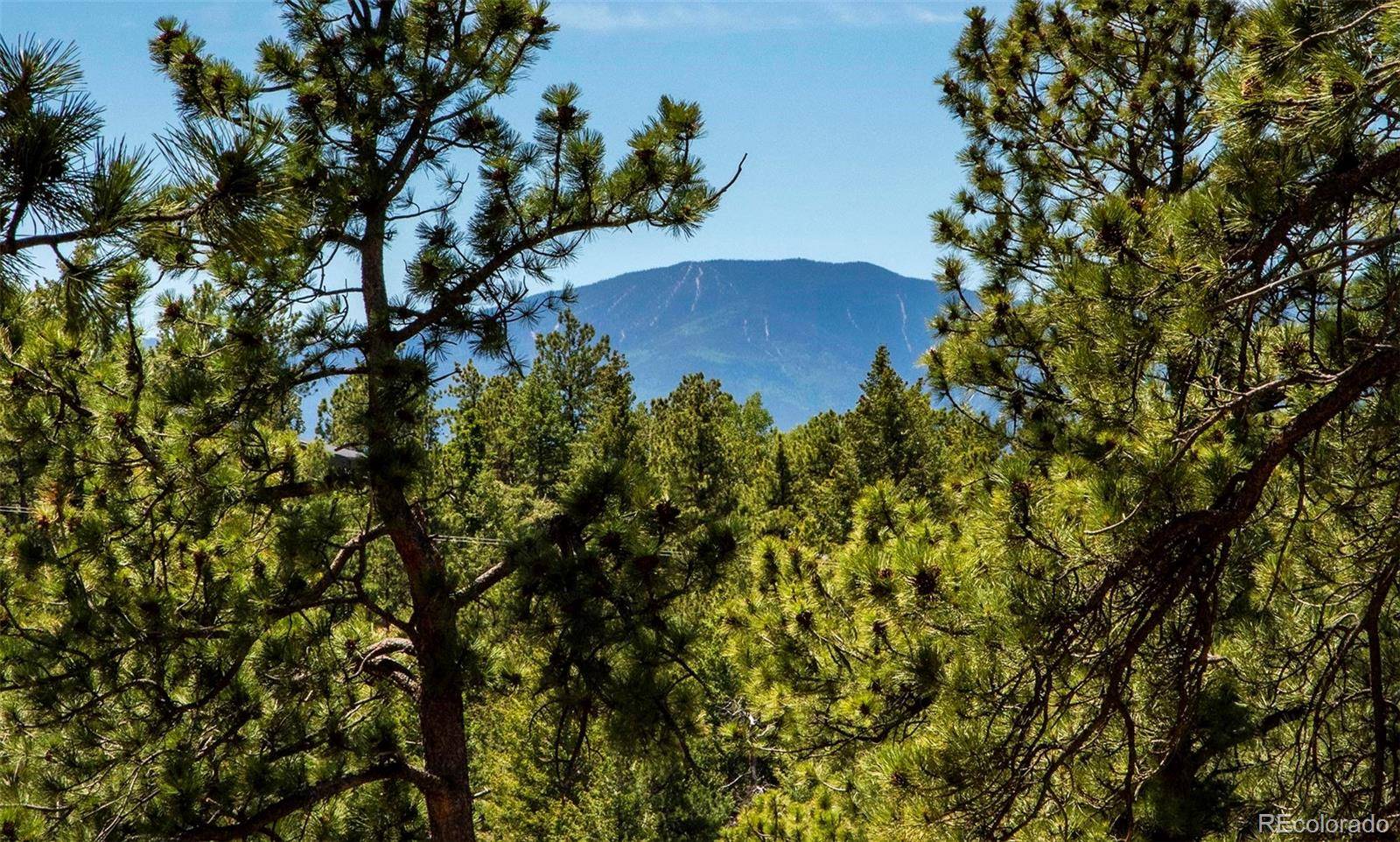 25997 Mountain View RD, Golden, CO 80401