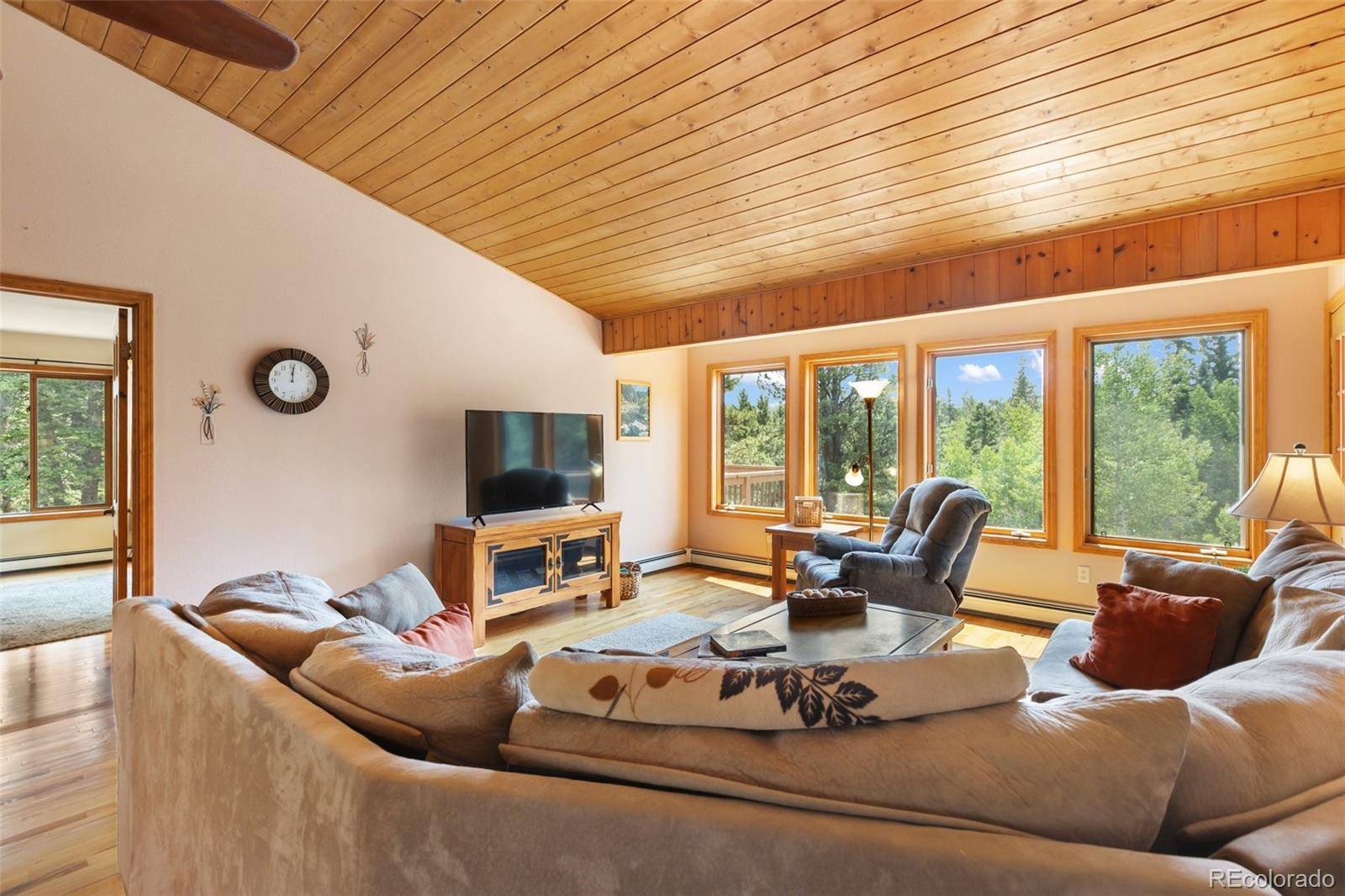 94 Pinewood CIR, Divide, CO 80814