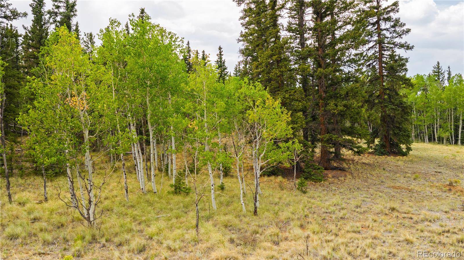 811 S Quarter Horse RD, Como, CO 80432
