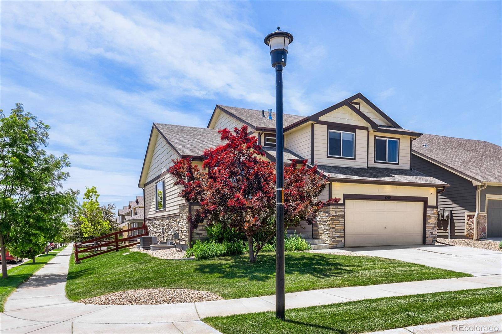 1519 New Season DR, Windsor, CO 80550