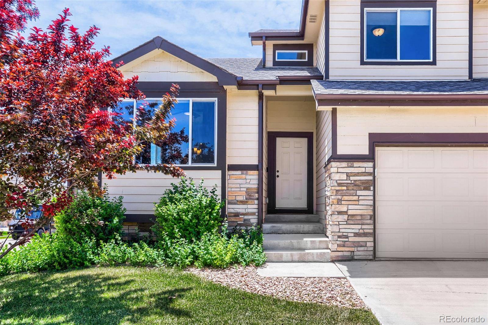 1519 New Season DR, Windsor, CO 80550