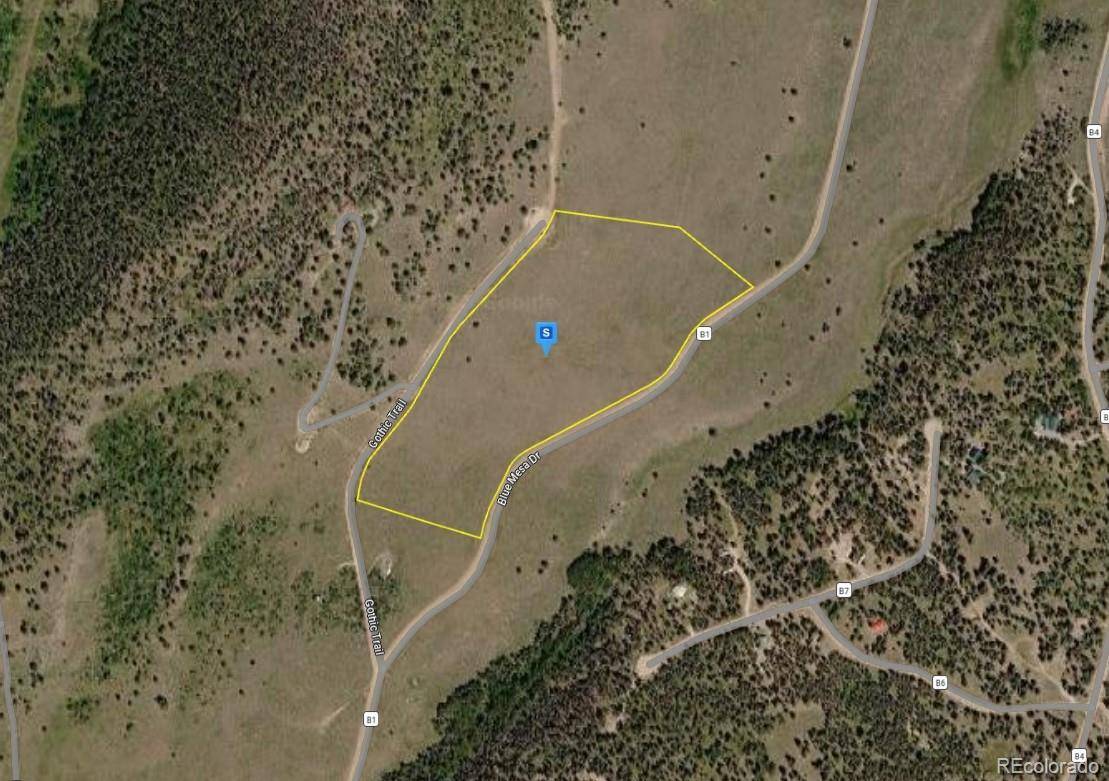 220 Gothic TRL, Powderhorn, CO 81243