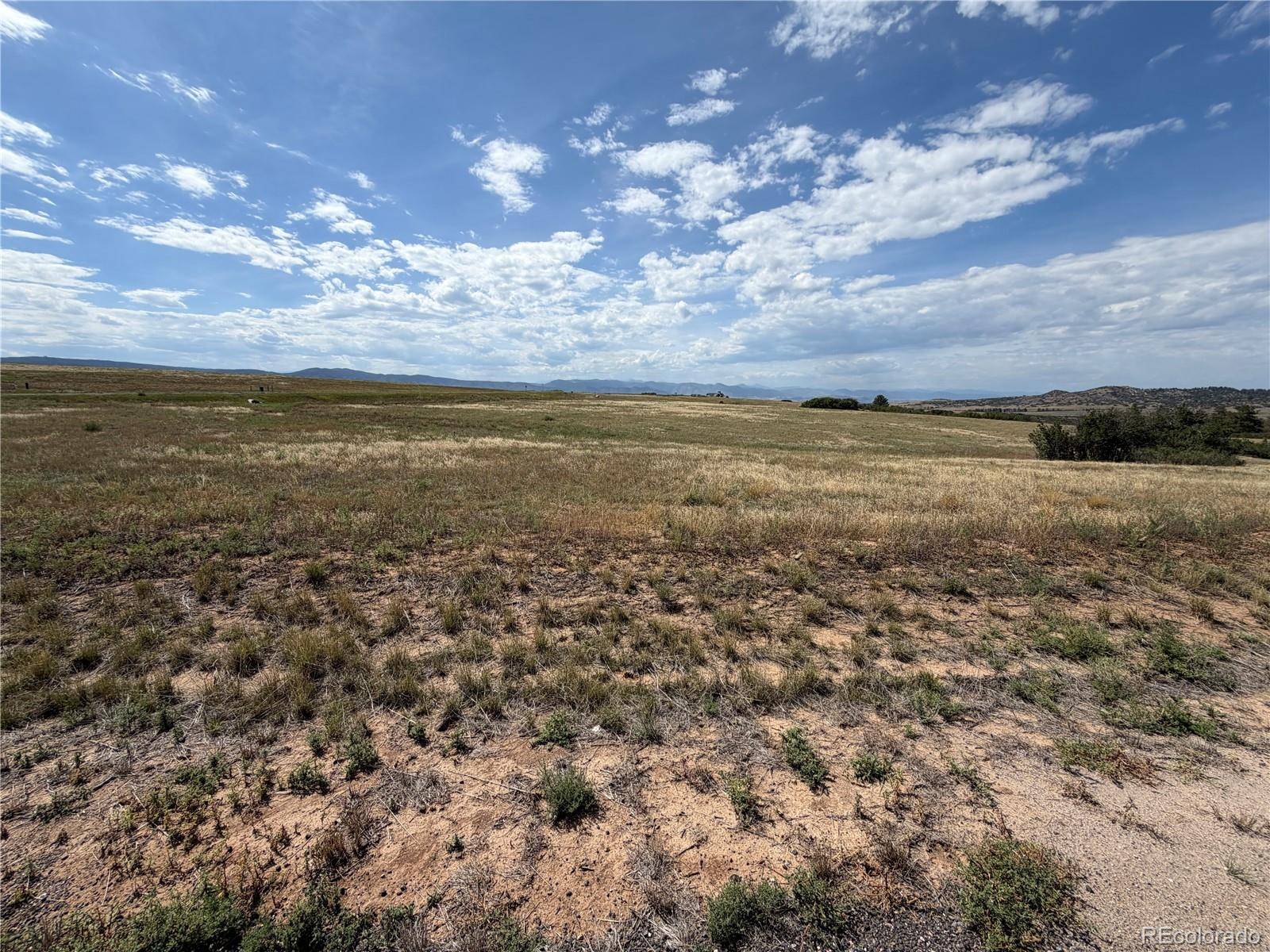 2288 Keep DR, Sedalia, CO 80135
