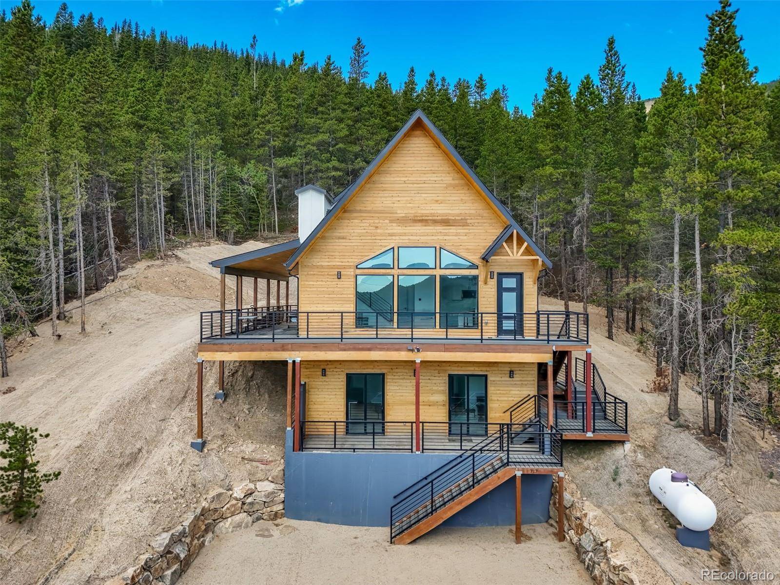 717 Alice RD, Idaho Springs, CO 80452