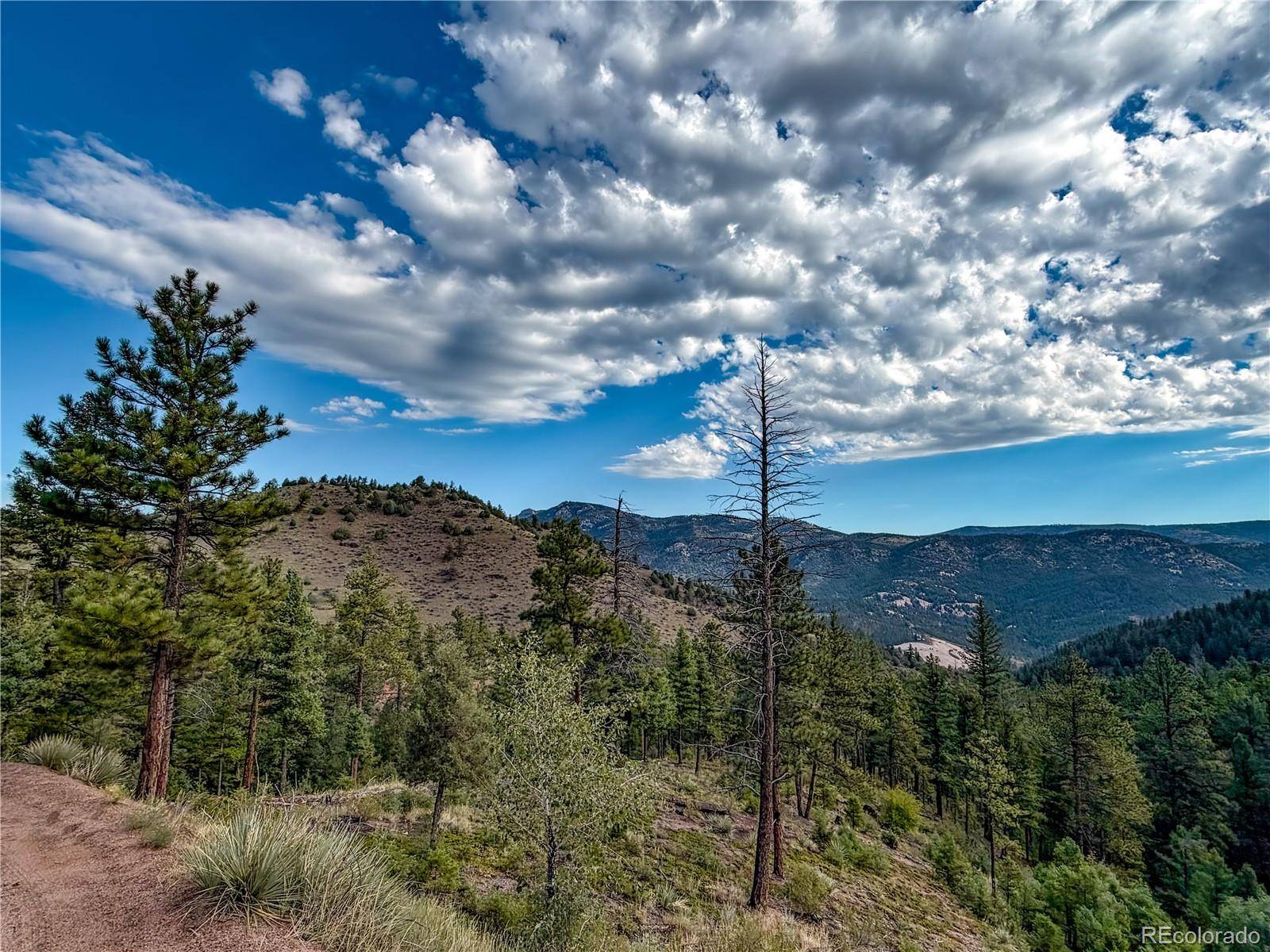 TBD Cathedral TRL, Conifer, CO 80433