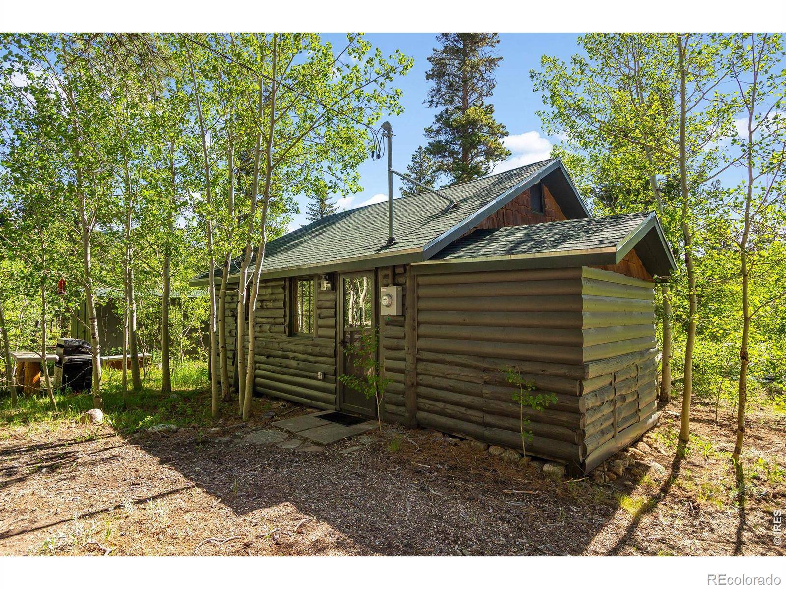 11614 Peak To Peak HWY, Allenspark, CO 80510