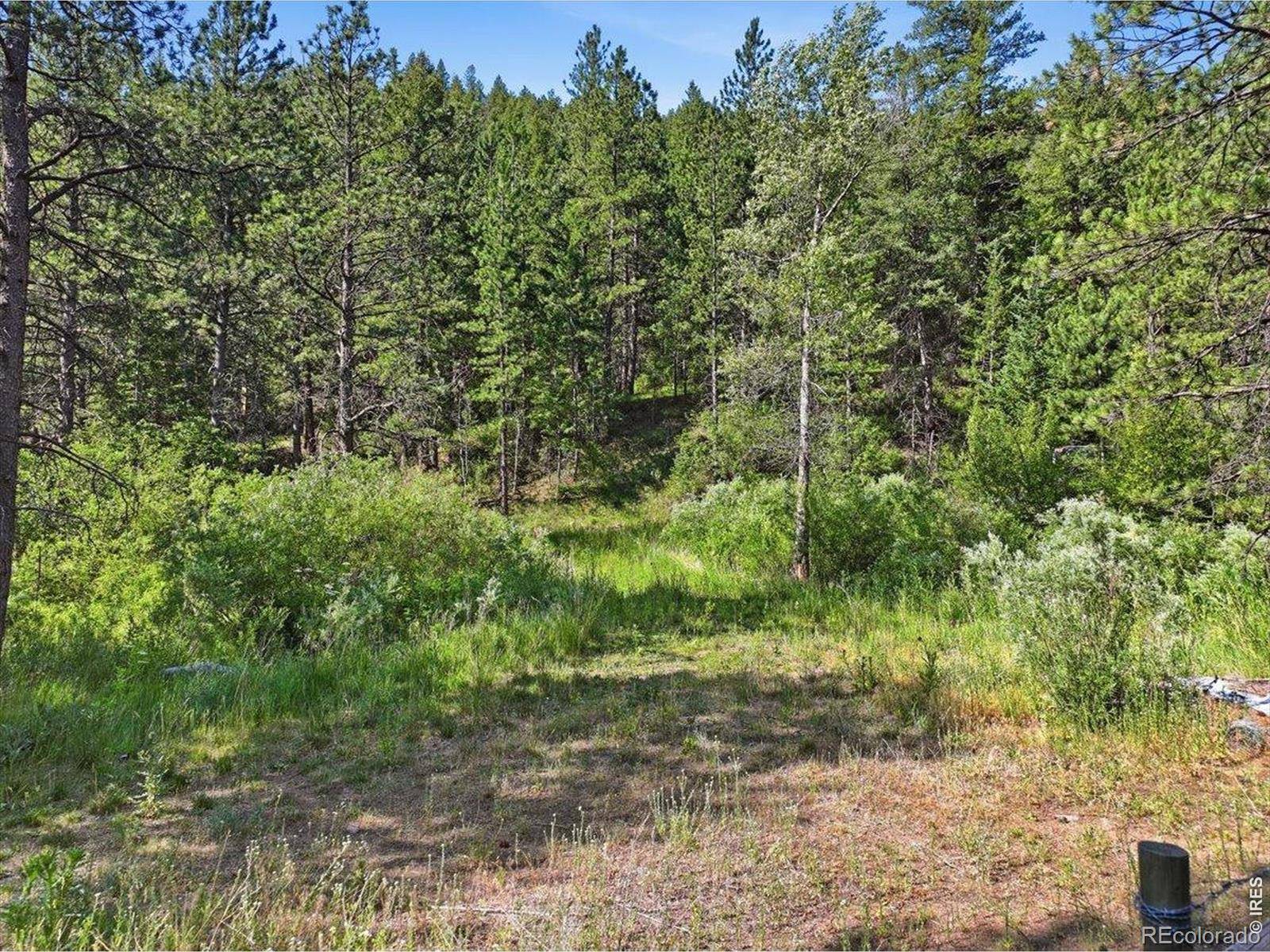 Spiritwood Ln, Bellvue, CO 80512