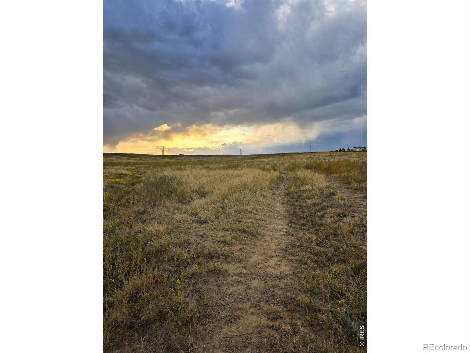 0 County Road 84, Fort Collins, CO 80524