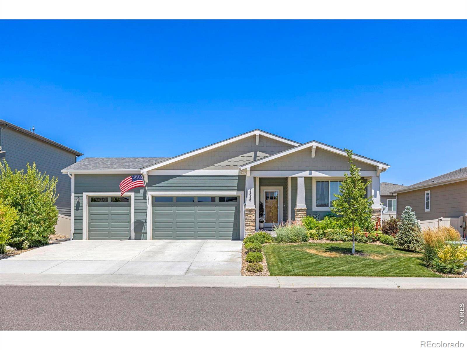 3836 Sweetgum ST, Wellington, CO 80549