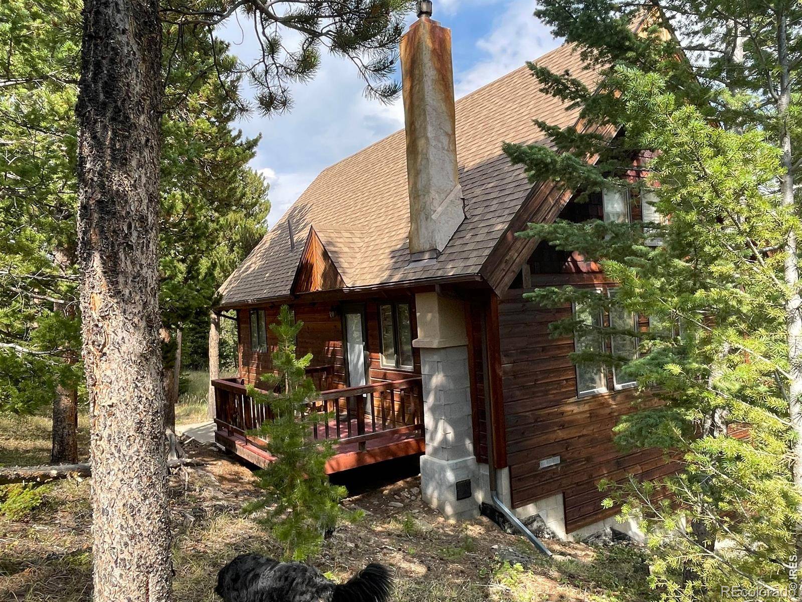 785 S Skinner RD, Allenspark, CO 80510