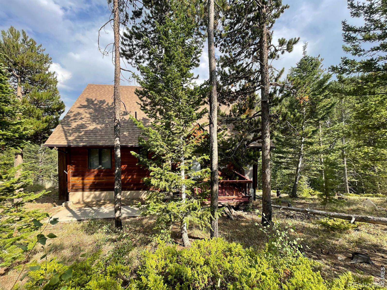 785 S Skinner RD, Allenspark, CO 80510