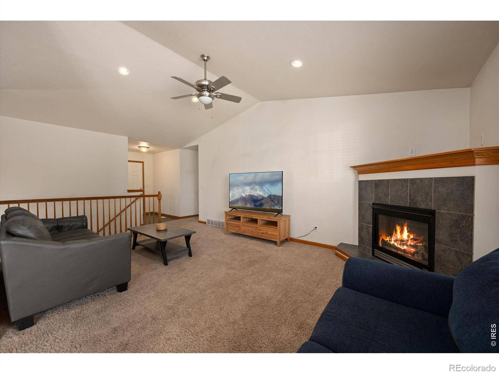 343 Scotch Pine CT, Severance, CO 80550