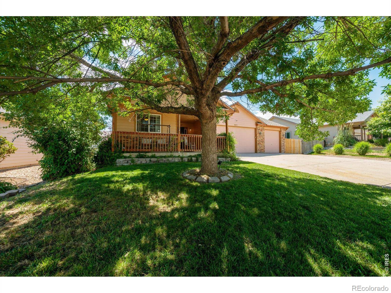 905 Scotch Pine DR, Severance, CO 80550