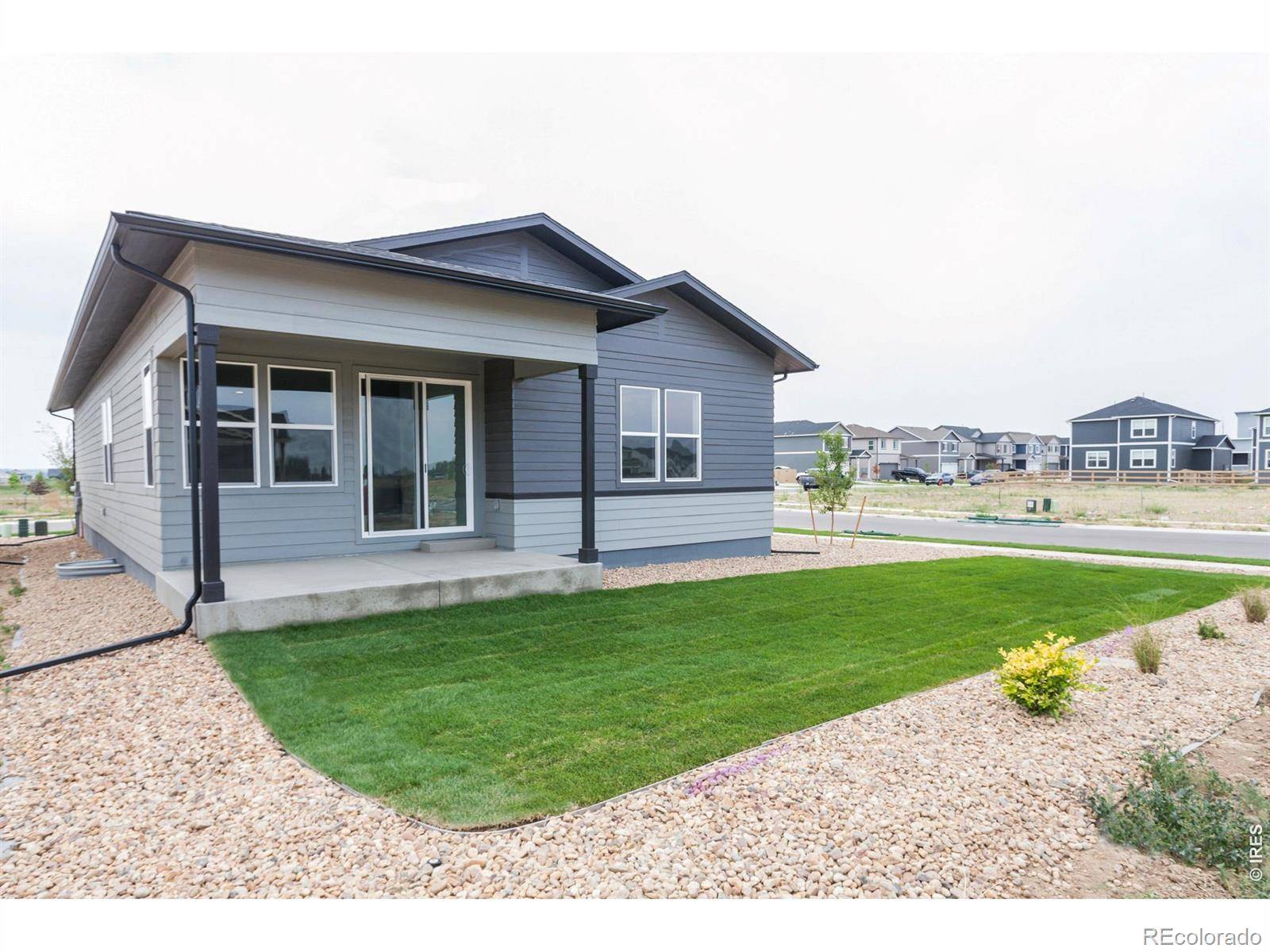 774 Trumpet CT, Windsor, CO 80550