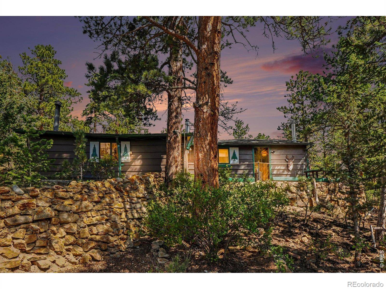 360 Ski RD, Allenspark, CO 80510